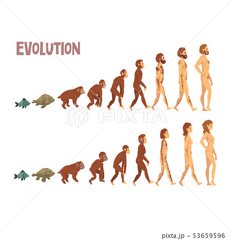 進化のイラスト素材