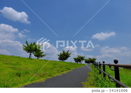 利根川 河原 土手 風景の写真素材