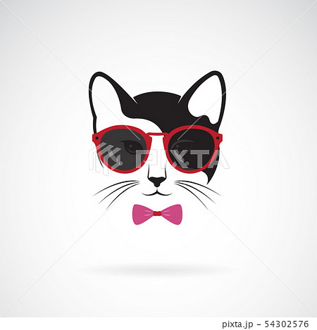 猫 顔 眼鏡 サングラスのイラスト素材
