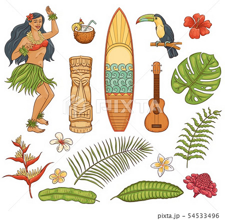 ハワイアンのイラスト素材