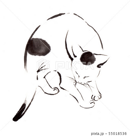 ノラ猫のイラスト素材