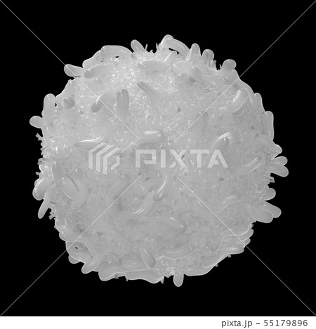 白血球の写真素材