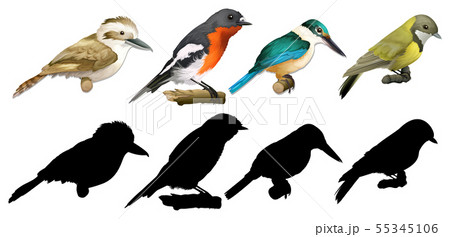 ベクター 鳥 カワセミ シルエットのイラスト素材