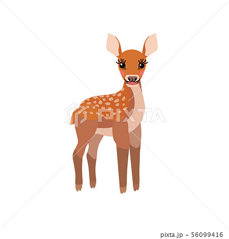 バンビのイラスト素材