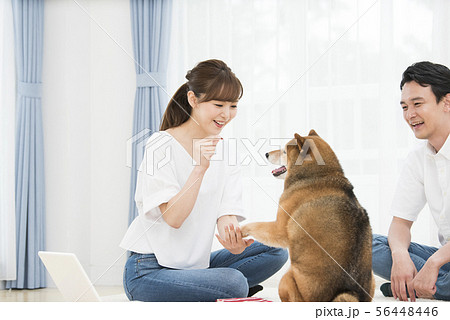 お手 犬の写真素材