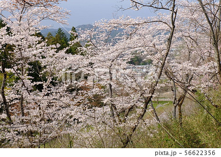 小峰峠の写真素材