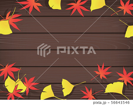 イチョウ もみじのイラスト素材