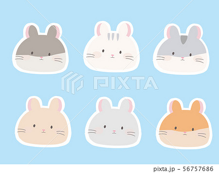 ハムスター アイコン かわいい キンクマハムスターのイラスト素材