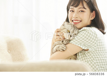 女性 ペット 猫 抱っこの写真素材