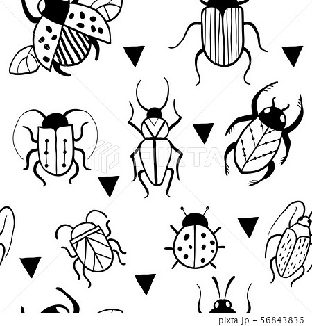 虫 かわいい モノクロ 昆虫の写真素材