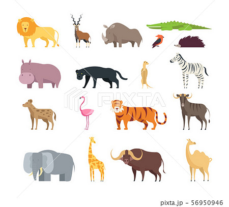 Cartoon African Savannah Animals Wild Zoo のイラスト素材