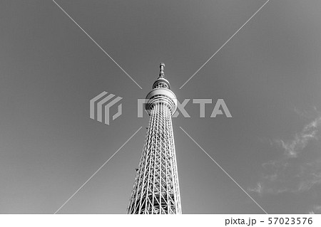 東京 スカイツリー モノクロの写真素材