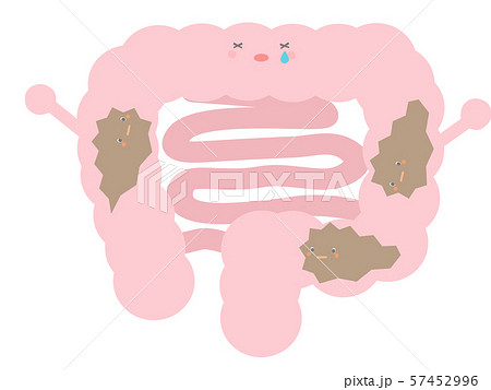 大腸のイラスト素材