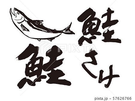 鮭 魚 水墨画 シャケのイラスト素材