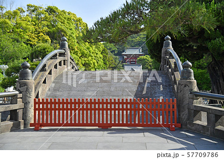 鶴岡八幡宮 八幡宮 太鼓橋 橋の写真素材