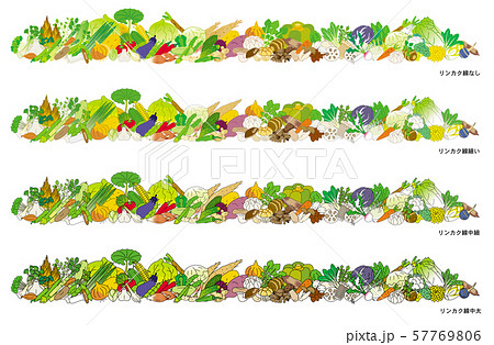 冬野菜のイラスト素材