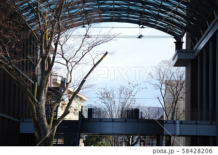 渡り廊下 屋根 屋外 学校の写真素材