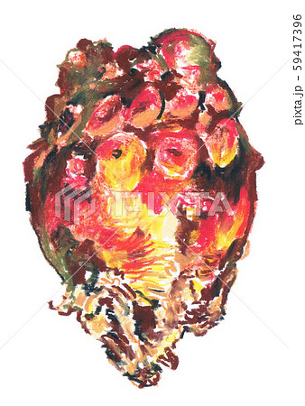 老海鼠のイラスト素材