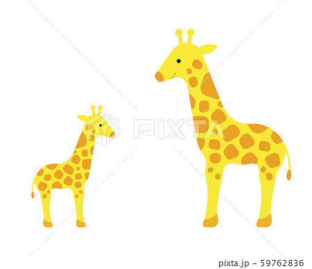 Giraffe Illustrations Pixta