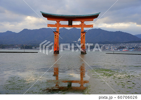 大鳥居 宮島 逆さ 厳島神社の写真素材