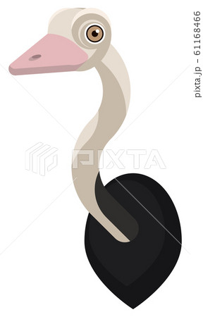 ダチョウ 絵の写真素材