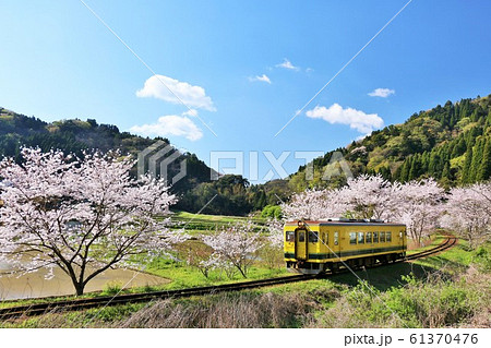 いすみ鉄道 ローカル線 桜 列車の写真素材 - PIXTA