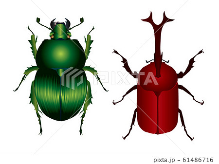 カブトムシのイラスト素材集 ピクスタ