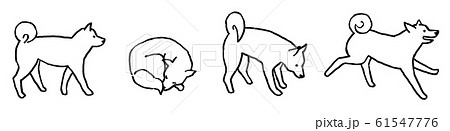 柴犬 犬 日本犬 線画のイラスト素材