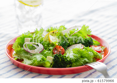 プチトマト 葉 ミニトマト 茎の写真素材