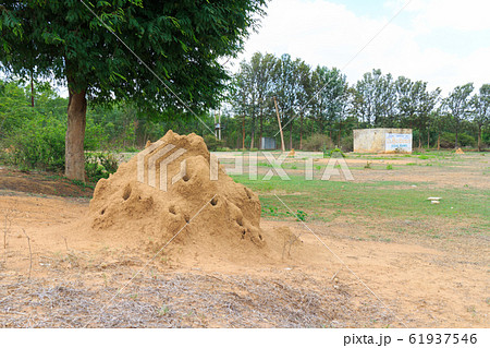 ありづかの写真素材