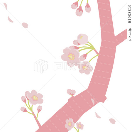 桜 幹のイラスト素材