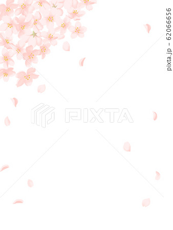 桜 花 花びら 春のイラスト素材