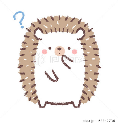 Hedgehogのイラスト素材