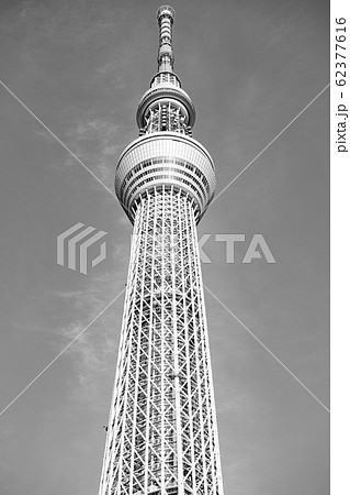 東京スカイツリー 風景 白黒 モノクロームの写真素材