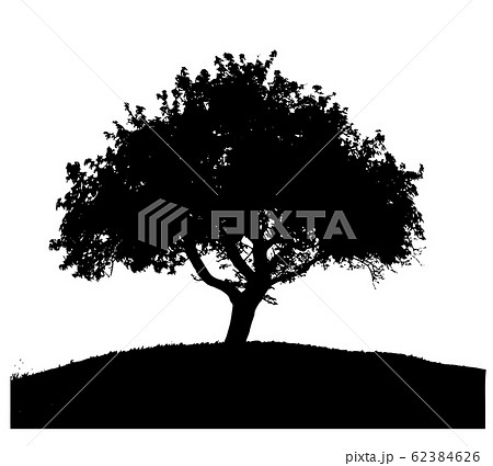 木 新緑 公園 大木のイラスト素材 Pixta