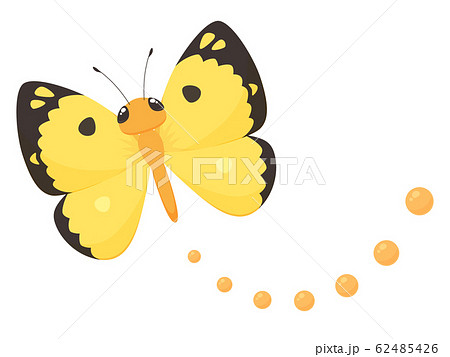 蝶 蝶々 紋黄蝶 飛ぶの写真素材 - PIXTA