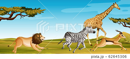 サバンナ 動物のイラスト素材
