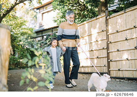 おじいさん 散歩 老人 犬の写真素材