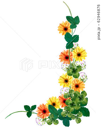 花 植物 ガーベラ オレンジ色のイラスト素材