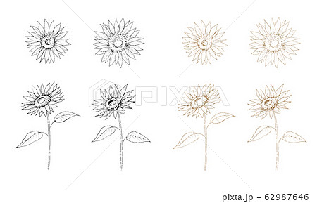 花 ひまわり 白黒 植物 向日葵のイラスト素材