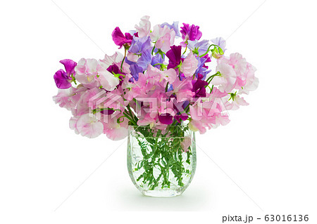 花瓶 花 スイートピー 生花の写真素材