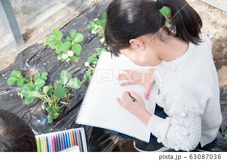 小学三年生女子の写真素材