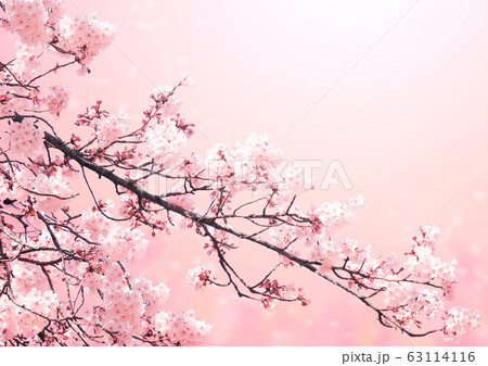 ベストコレクション 桜 幻想 的 イラスト ニコニコ 静止 画 イラスト