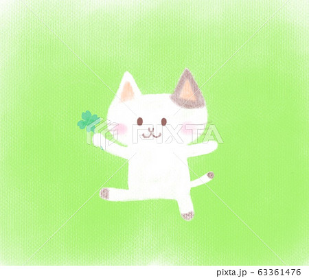 猫 四つ葉 クローバー 四つ葉のクローバーの写真素材 - PIXTA