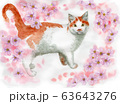 猫の絵　花 猫 絵画 子猫 イラスト 水彩色鉛筆 油彩色鉛筆 原画 ガーベラと