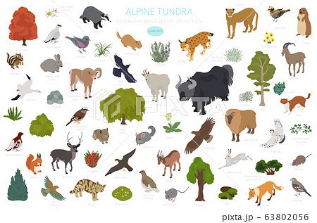 ツンドラ気候のイラスト素材