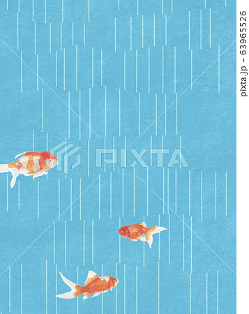 金魚 きれい 背景 イラストのイラスト素材