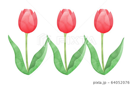 注目ショップ 1 Haokhome 剥がして貼る壁紙 17 7イ ホーム壁装飾 廊下 バスルーム 取り外し可能 グリーン ホワイト 水彩チューリップの葉 タペストリー Vesismin Com