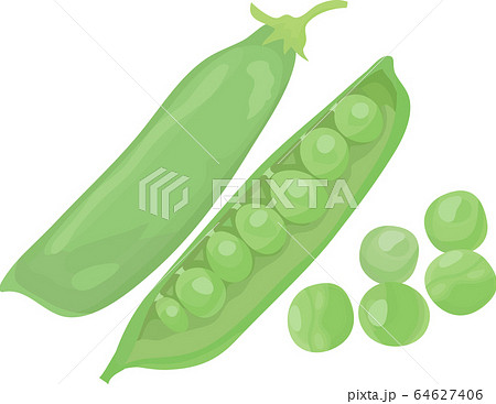 野菜 えんどう豆 グリーンピース イラストのイラスト素材