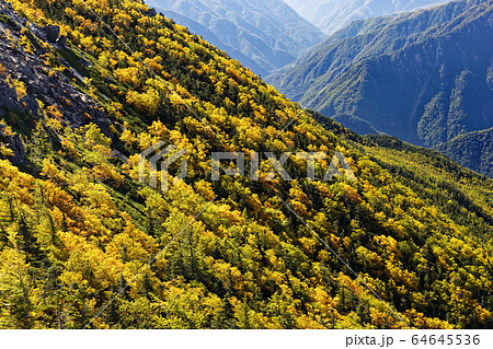 山 秋景色 渓谷 谷間の写真素材